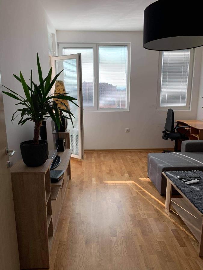 Apartman Aleksic Ni Екстериор снимка