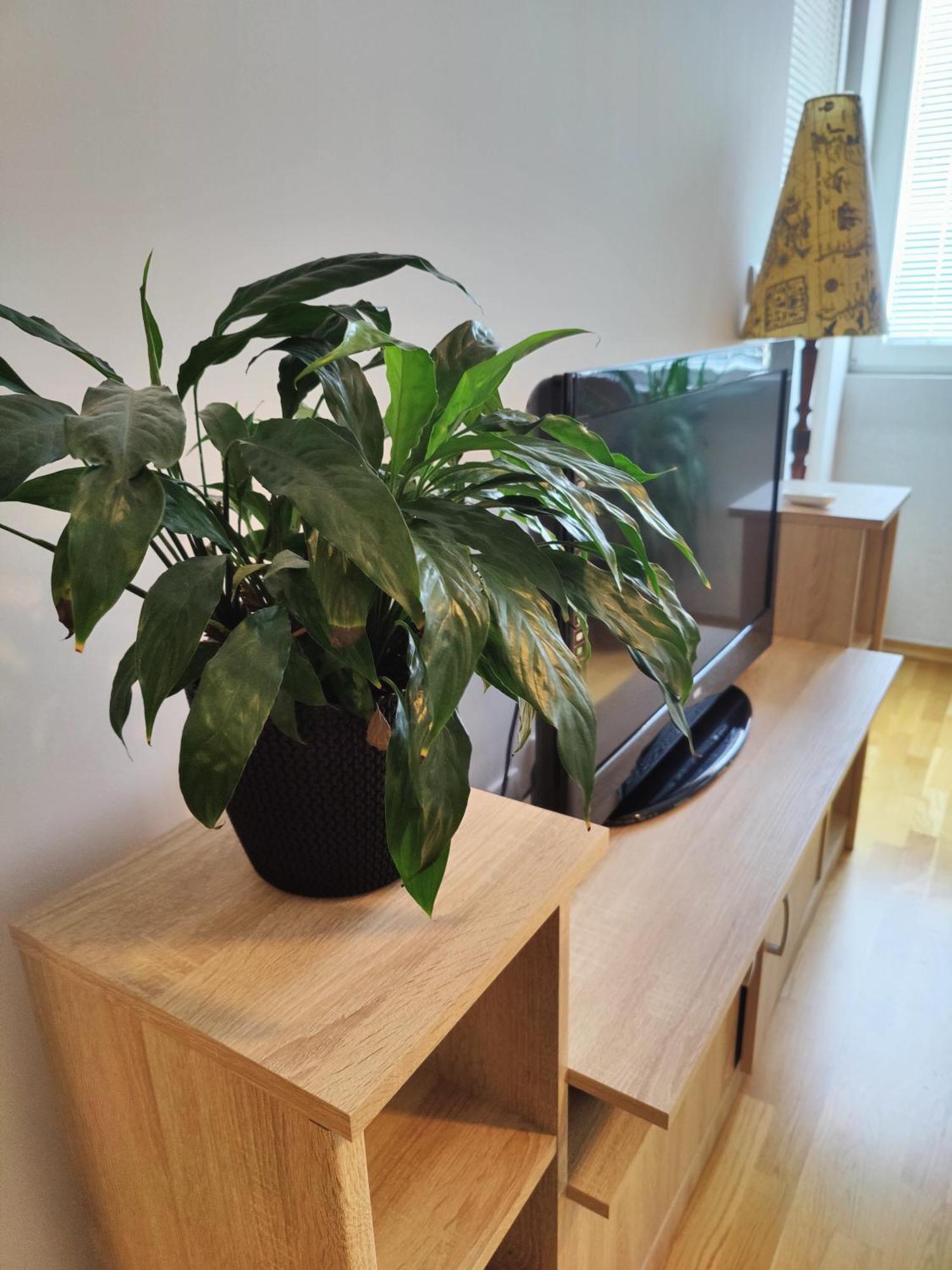 Apartman Aleksic Ni Екстериор снимка